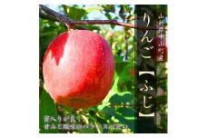 【令和7年産先行受付】中山町産 りんご＜ふじ＞特秀品　約5kg