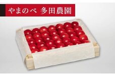 【特選佐藤錦】桐箱詰 約300g【やまのべ多田耕太郎のさくらんぼ 多田農園】