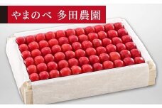 【特選佐藤錦】桐箱詰 約1,100g【やまのべ多田耕太郎のさくらんぼ 多田農園】