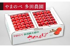 【紅秀峰】本詰 約500g×2【やまのべ多田耕太郎のさくらんぼ 多田農園】