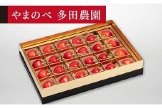 【珠玉のダイアナブライト】みやび箱 24粒【やまのべ多田耕太郎のさくらんぼ 多田農園】
