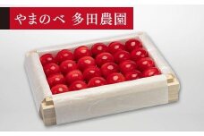 【特選ダイアナブライト】桐箱詰 約300g【やまのべ多田耕太郎のさくらんぼ 多田農園】