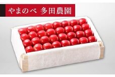 【特選ダイアナブライト】桐箱詰 約700g【やまのべ多田耕太郎のさくらんぼ 多田農園】