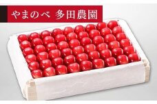 【特選ダイアナブライト】桐箱詰 約1,100g【やまのべ多田耕太郎のさくらんぼ 多田農園】