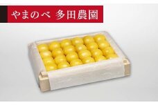 【特選月山錦】桐箱詰 約300g【やまのべ多田耕太郎のさくらんぼ 多田農園】