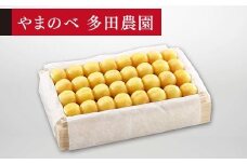 【特選月山錦】桐箱詰 約700g【やまのべ多田耕太郎のさくらんぼ 多田農園】