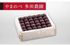 【特選サミット】桐箱詰 約500g【やまのべ多田耕太郎のさくらんぼ 多田農園】