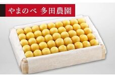 【特選月山錦】桐箱詰 約1,100g【やまのべ多田耕太郎のさくらんぼ 多田農園】