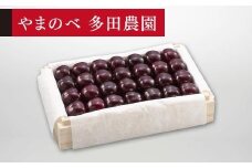 【特選サミット】桐箱詰 約700g【やまのべ多田耕太郎のさくらんぼ 多田農園】