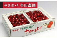 【山形美人】バラ詰 L～2L 500g×2【やまのべ多田耕太郎のさくらんぼ 多田農園】