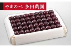 【特選サミット】桐箱詰 約1,100g【やまのべ多田耕太郎のさくらんぼ 多田農園】