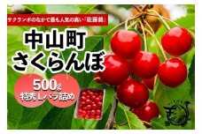 【2025年発送】さくらんぼ　佐藤錦　500ｇ　特秀Ｌバラ詰め