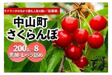 【2025年発送】さくらんぼ　佐藤錦　秀　M－L　200ｇ×8　バラ詰め