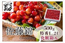 【2025年発送】さくらんぼ　佐藤錦　特秀　L-2L　500ｇ　化粧詰め