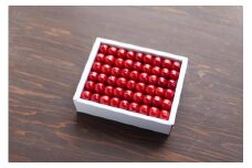 【2025年発送】さくらんぼ　紅秀峰　特秀2L-3L　500ｇ　化粧詰め