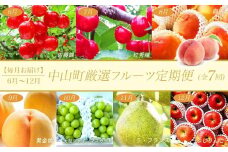 【令和8年産先行予約】山形県中山町の至高！山形県中山町厳選フルーツ定期便　全7回