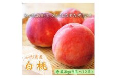 【令和7年産先行受付】中山町産白桃3kg 秀品※品種玉数おまかせ（軟らかくなる桃）あかつき、川中島白桃、伊達白桃他
