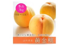 ＜先行受付＞令和7年8月発送開始　中山町　至高のフルーツ！ 中山町秀逸フルーツ定期便　全3回