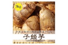 【先行受付】中山町町制70周年【芋煮会発祥地 子姫芋・里芋】約3kg