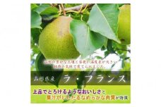 令和7年産先行受付 中山町産高糖度「ラ・フランス」2kg　特秀品　5～8玉