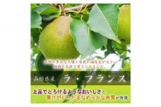 令和7年産先行受付 中山町産高糖度「ラ・フランス」5kg　特秀品　10～18玉