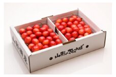 【2025年発送】佐藤錦　約500g×2P（L～2L）特秀　バラ詰め