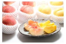 【2025年発送】どちらも食べたい！「白桃と黄桃の食べ比べセット　約２kg（4～10玉）」