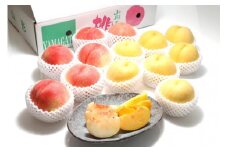 【2025年発送】どちらも食べたい！「白桃と黄桃の食べ比べセット　約３kg（7～12玉）」