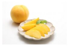 【2025年発送】一度は食べてみたい！黄桃　約２kg（4～10玉）
