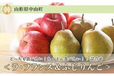 【2025年11月以降お届け】☆どっちも食べたい！たくさん食べたい！！詰合せ＜ラ・フランス＆ふじりんご＞各8玉