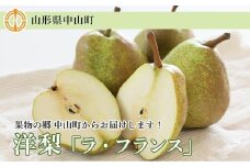 【2025年10月下旬以降お届け】果物の郷 中山町からお届けします！洋梨「ラ・フランス」秀3L～4L 5kg（14～16玉）