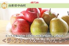 【2025年11月以降お届け】☆どっちも食べたい！大きいのが食べたい！！詰合せ＜ラ・フランス＆ふじりんご＞各6玉