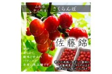 令和8年産【先行受付】山形県産さくらんぼ＜佐藤錦 秀品＞400g(200g×2P)　