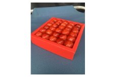 令和8年産【先行受付】山形県産さくらんぼ＜やまがた紅王 特秀品＞30粒　プレミアム　4L