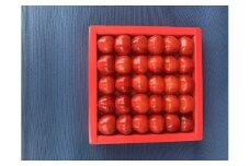 令和8年産【先行受付】山形県産さくらんぼ＜やまがた紅王 特秀品＞30粒　プレミアム　4L