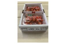 【令和8年6月発送開始】山形県 厳選のフルーツ！ 山形県旬のフルーツ定期便　全3回（さくらんぼ 佐藤錦  / 白桃 / ラ・フランス ）
