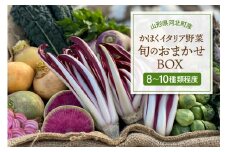 かほくイタリア野菜 旬のおまかせBOX（約8～10種類）野菜の説明&おしゃれな料理が簡単に作れちゃうレシピ付き♪