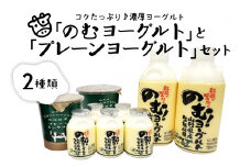 のむヨーグルトとプレーンヨーグルトセット（750ml×2本、150ml×5本、405g×2個）【奥羽乳業株式会社】（山形県 河北町 乳製品）