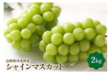 【令和7年産】シャインマスカット 2kg 山形県河北町産【JAさがえ西村山】