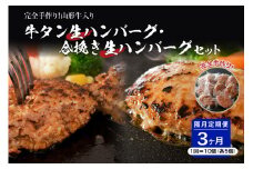 牛タン生ハンバーグと合い挽き生ハンバーグの食べ比べセット【隔月3回定期便】