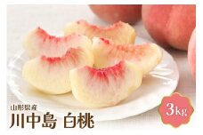 【令和8年産】 川中島白桃 3kg【JAさがえ西村山】山形県産 白桃 ピーチ 桃 川中島 ka008-012e-r8