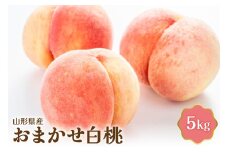 【令和7年産】 おまかせ白桃 5kg【JAさがえ西村山】