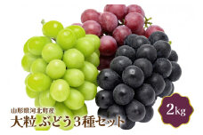 【令和7年産】大粒ぶどう3種セット 2kg 山形県河北町産【JAさがえ西村山】