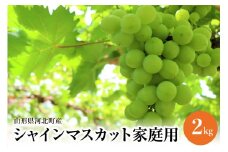 【令和7年産】ご家庭用シャインマスカット 2kg 山形県河北町産【JAさがえ西村山】