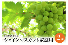 【令和7年産】ご家庭用シャインマスカット 2kg 山形県河北町産【JAさがえ西村山】