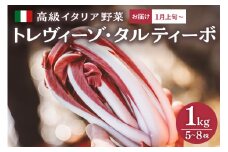 【高級イタリア野菜１kg・レシピ付き】トレヴィーゾ・タルティーボ 5～8株入り 山形県河北町産【かほくらし社】