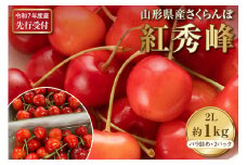 【令和7年産先行予約】さくらんぼ紅秀峰 2L 1kg以上(500gバラ詰め×2パック)山形県河北町産【晴天畑】