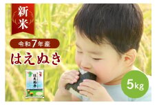 【令和7年産米】2025年11月下旬発送 はえぬき5kg 山形県産 【JAさがえ西村山】