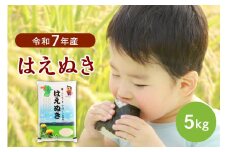 【令和7年産米】2026年3月下旬発送 はえぬき5kg 山形県産 【JAさがえ西村山】