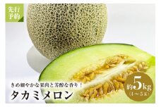 【令和7年産】タカミメロン 約5kg（4玉～5玉）山形県河北町産【JAさがえ西村山】